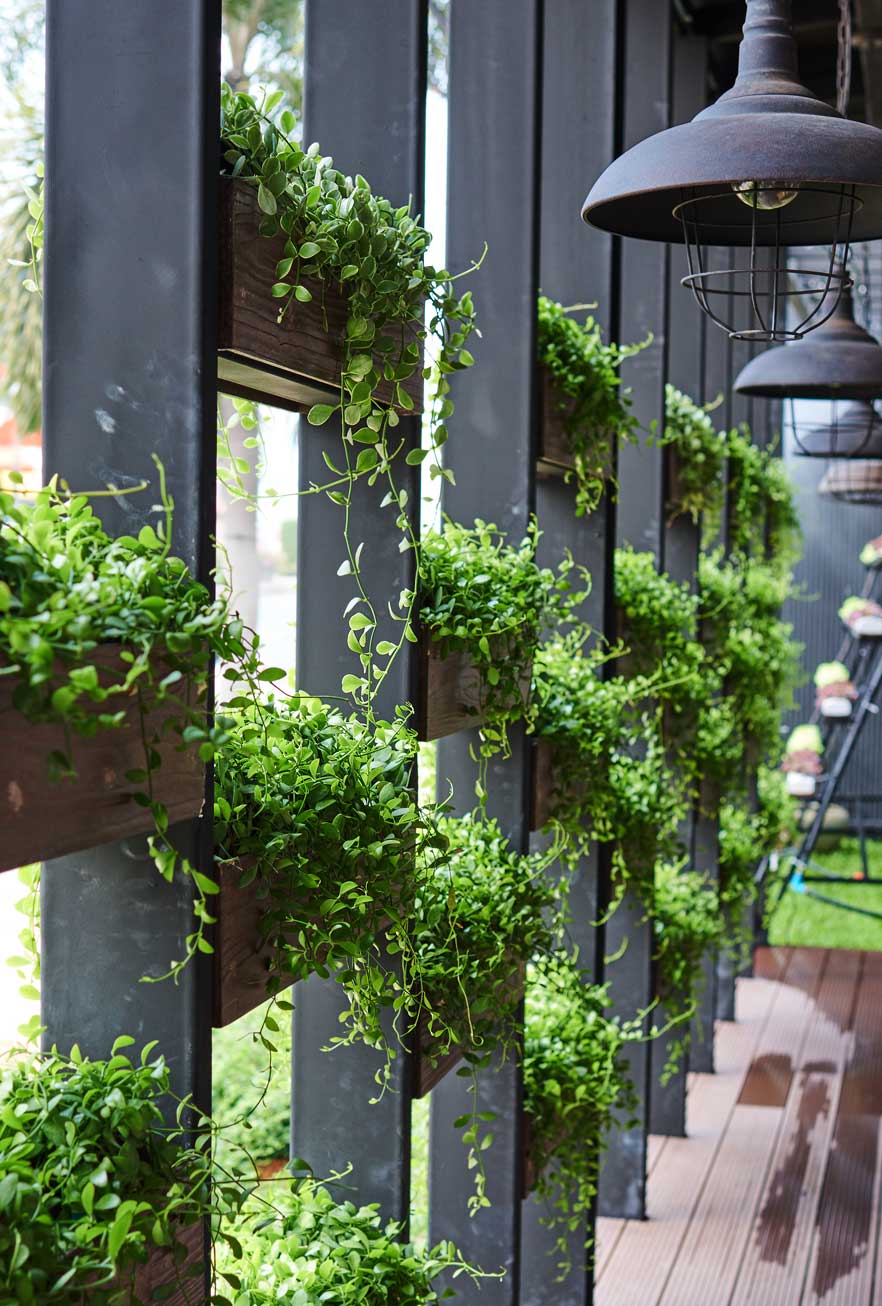 green-marketing-2